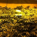 Stefan Bennett - @SmokinLoud - Twitter