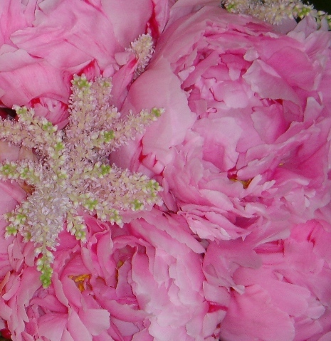 namaree's profile picture. 