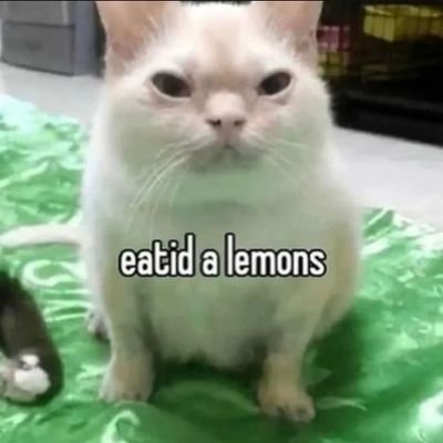 AnimalInformat1's profile picture. 