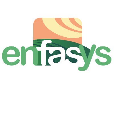 Enfasys focuses on finding effective policy interventions and business strategies that can support farmers towards more sustainable farming practices.