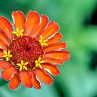 Amia Rosado (@amiarosado6) 's Twitter Profile