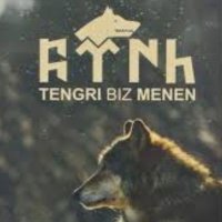 Gökbörü 27 (@gokboruu27) Twitter profile photo