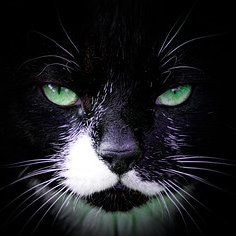 Leticia51741154's profile picture.