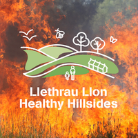 Healthy Hillsides | Llethrau Llon 🔥(@Hillsides_Wales) 's Twitter Profile Photo