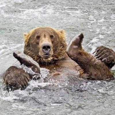 ososarus's profile picture. Real power is knowing when to use it.