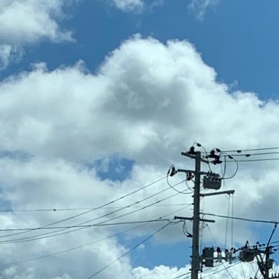 kanikani_komugi's profile picture. 《医医6》むり