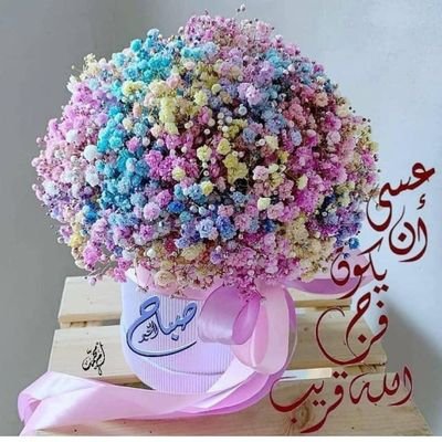 UmarBal38806920's profile picture. 