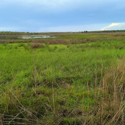 maddawgg_11's profile picture. 