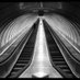 Your Tunnel Vision (@yrtunnelvision) Twitter profile photo Your Tunnel Vision (@yrtunnelvision) Twitter profile photo