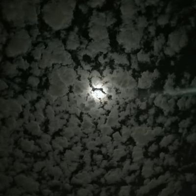 avtc_11's profile picture. 