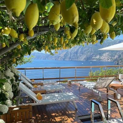 mynabnas1's profile picture. سعيد دائمآ