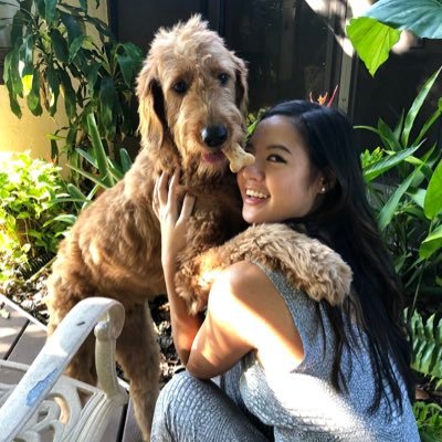 BrandiDinh's profile picture. 