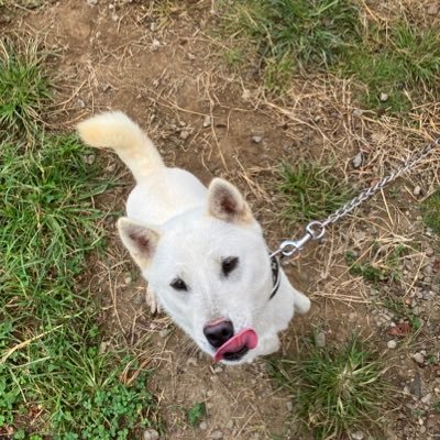 yamaot4's profile picture. 技術職員(2年目) 解剖組織学 学生教育 元作業療法士　読書好き　旅好き(全国47都道府県制覇を目指してます)