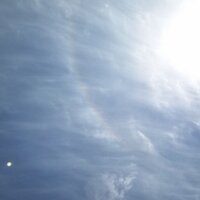 ハッチ (@hatchcchi) Twitter profile photo