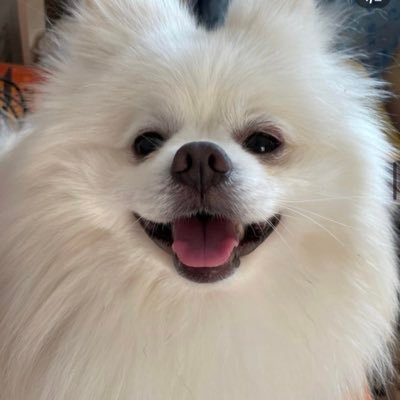 Austen75893570's profile picture. воркаю на благо