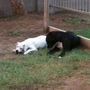 David Bellman - @DavidBellman89 - Twitter