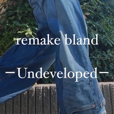 undeveloped_jp's profile picture. 