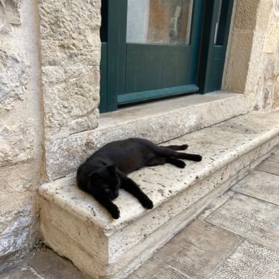 nakajimaru0804's profile picture. サブアカ。