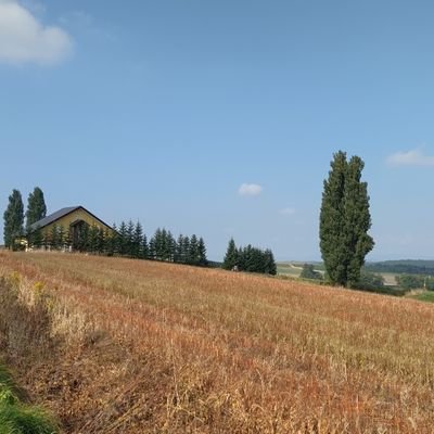 カメラも人付き合いも何もかも初心者。
時々戯れ言、つぶやく。
風景や食べ物の写真も投下したり。
旅人。まほうつかい。都公認コミュ障。
DTの悪魔と契約済。