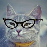 wander forest (@waaander_forest) 's Twitter Profile