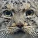 KWNK16's profile picture. 