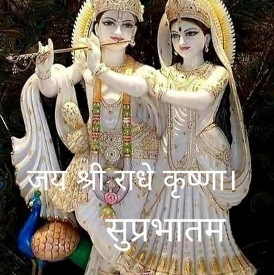 Kishori21337601's profile picture. 