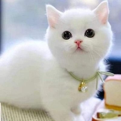 aoyyyyyyji's profile picture. 