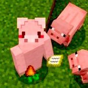 マイクラ中心に🐖ゆったりゲーム🎮🪴✨/マイクラで作りたい世界があり建築勉強中🏘/🏠→家族でマインクラフト・スプラトゥーン・あつ森/❤→ブレスオブファイア・ペルソナ・FF(SFCやPS初期時代RPGを懐かしみがち)/Minecraft統合版✨来年BOF30周年何かしたい…！/お絵描き垢→@55Mam0o0