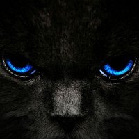 GJ (@g_j_60) Twitter profile photo