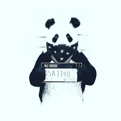 Pandacam3's profile picture. 