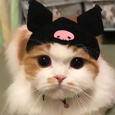 kimrhdud's profile picture. 김우석김따따김뽀뽀김루루💜