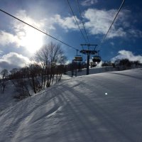 ハシ (@hashi_nezuchuuu) 's Twitter Profile