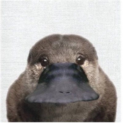 오떤 시팔련이해킹햇냐
