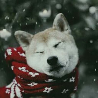 rem30295123's profile picture. 
