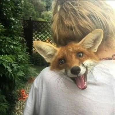 Rottenblue889's profile picture. یک دفترچه افکار شخصی با دسترسی همگانی.