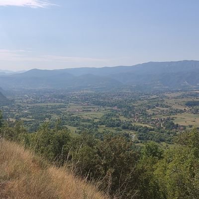 NOLE1402's profile picture. 