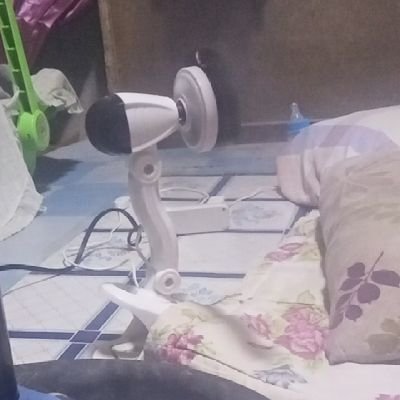 DevilfoxL's profile picture. 