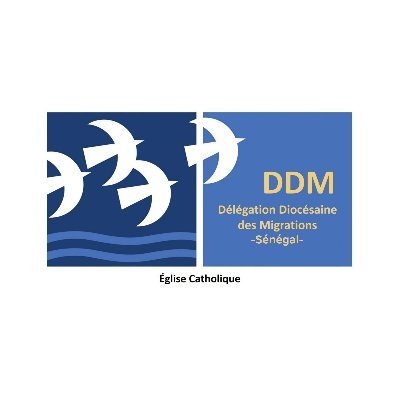 DDMSenegal Profile Picture