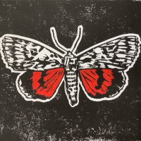 Underwing Press (@underwingpress) 's Twitter Profile Photo Underwing Press (@underwingpress) 's Twitter Profile Photo