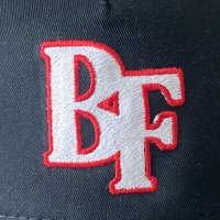 Mitchell Calandra (@bf_e_program) 's Twitter Profile