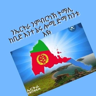 TsegaiAbraha1's profile picture. 