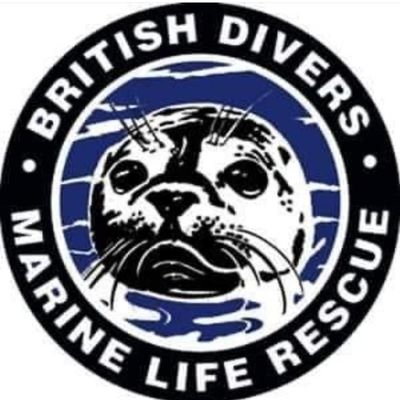 Follow us for BDMLR Marine Mammal Medic rescues, course information & events!