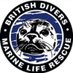 BDMLR Yorkshire & Lincs (@BdmlrYorksLincs) Twitter profile photo