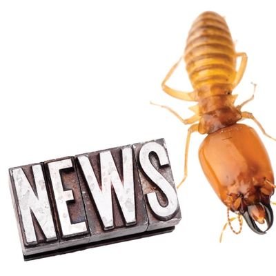 News reports about things termites ACTUALLY care about!