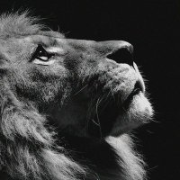 Patrick Hezron (@_patrickhz) 's Twitter Profile
