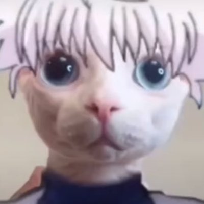 ToxicLiam2's profile picture. ok
