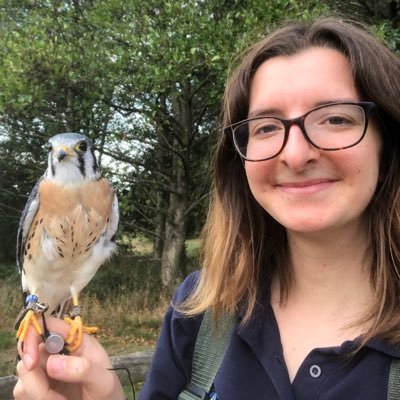 MSc Global Biodiversity Conservation student @sussexuni 🌿🐝