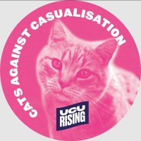 Anglia Ruskin UCU(@AngliaRuskinUCU) 's Twitter Profile Photo