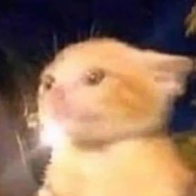 MonkeyKrizz's profile picture. 