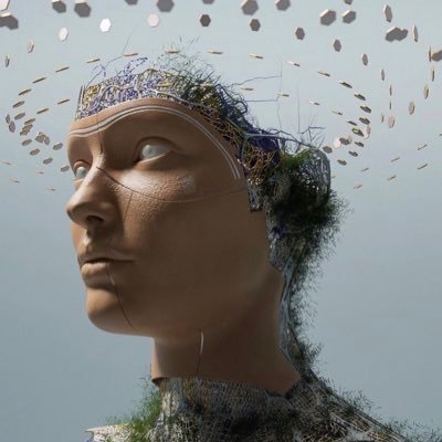 0xbrett8571 Profile